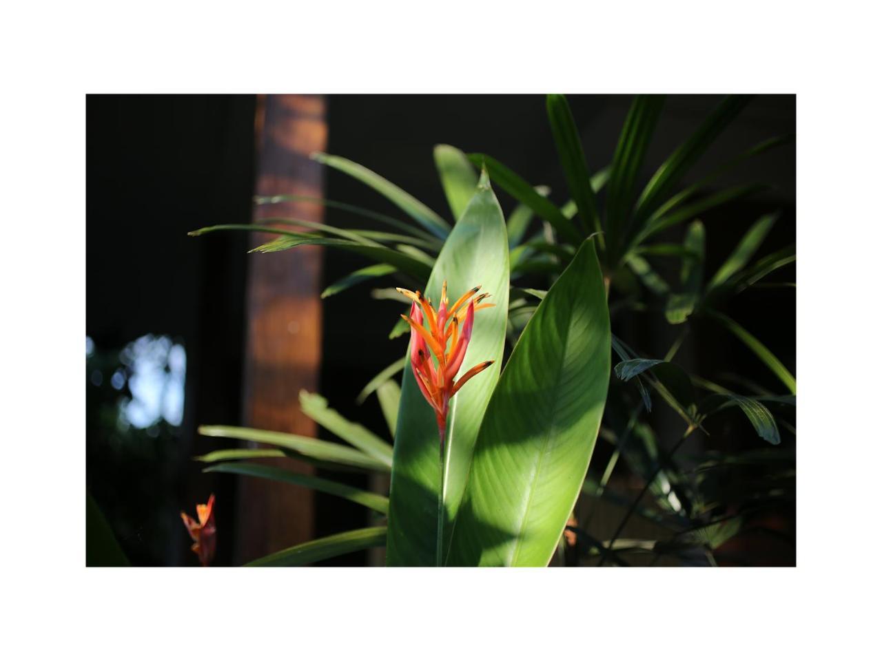 Апартаменты In Da Garden Убуд Экстерьер фото