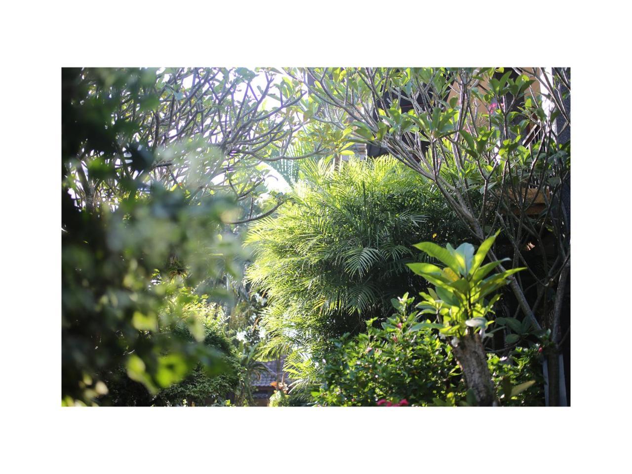 Апартаменты In Da Garden Убуд Экстерьер фото
